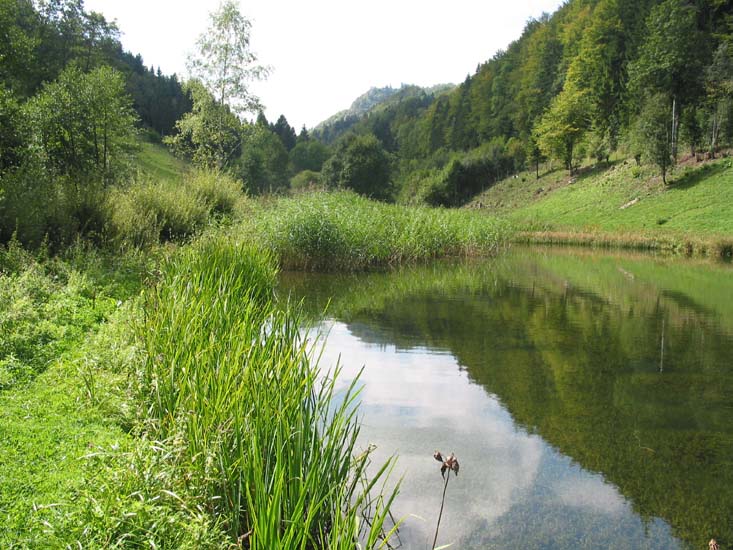 Etang de la ferme de la Combe Tabeillon
